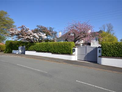 Picture 33